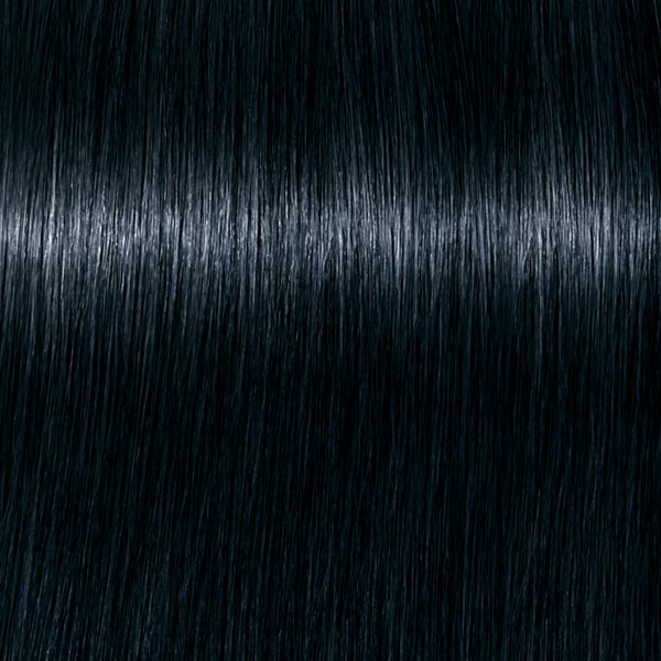 1.1 ROYAL Schwarz Cendré