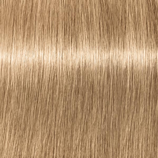9.00 ROYAL Extra Hellblond Natur Extra