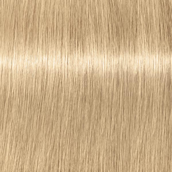 0.00 ROYAL Diluter