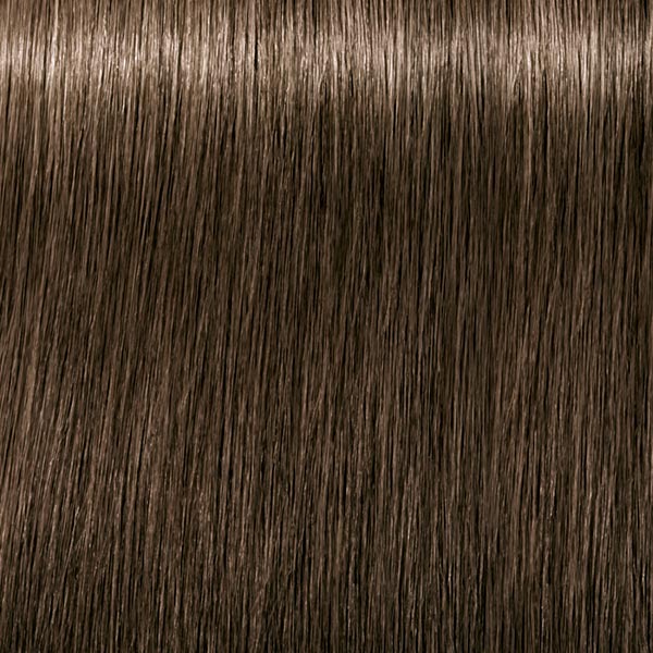 6.00 COLOR10 Dunkelblond Natur Extra