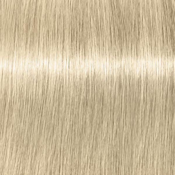 10.1 HIGHLIFTS Ultrablond Cendré
